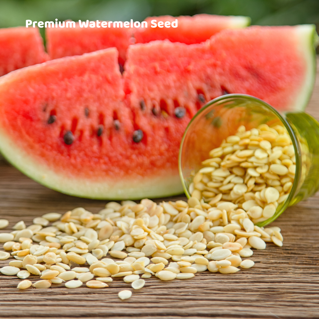 Premium Roasted Watermelon Seed