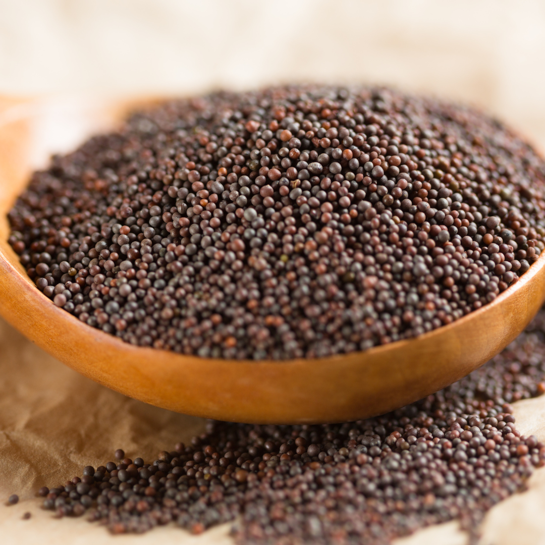 BLACK MUSTARD (RAI), 250GM - Premium Quality (Copy) – Kums Kitchen